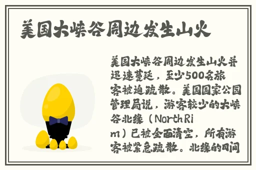 147人体